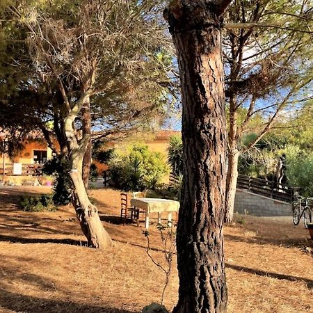 Il Lentischio Del Sinis Villa Putzu Idu Exterior foto