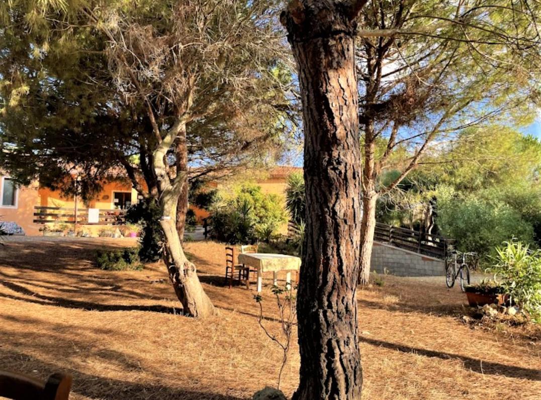 Il Lentischio Del Sinis Villa Putzu Idu Exterior foto