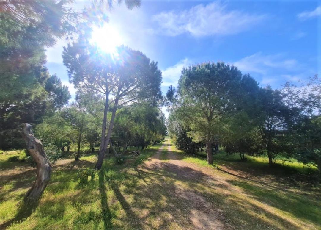 Il Lentischio Del Sinis Villa Putzu Idu Exterior foto